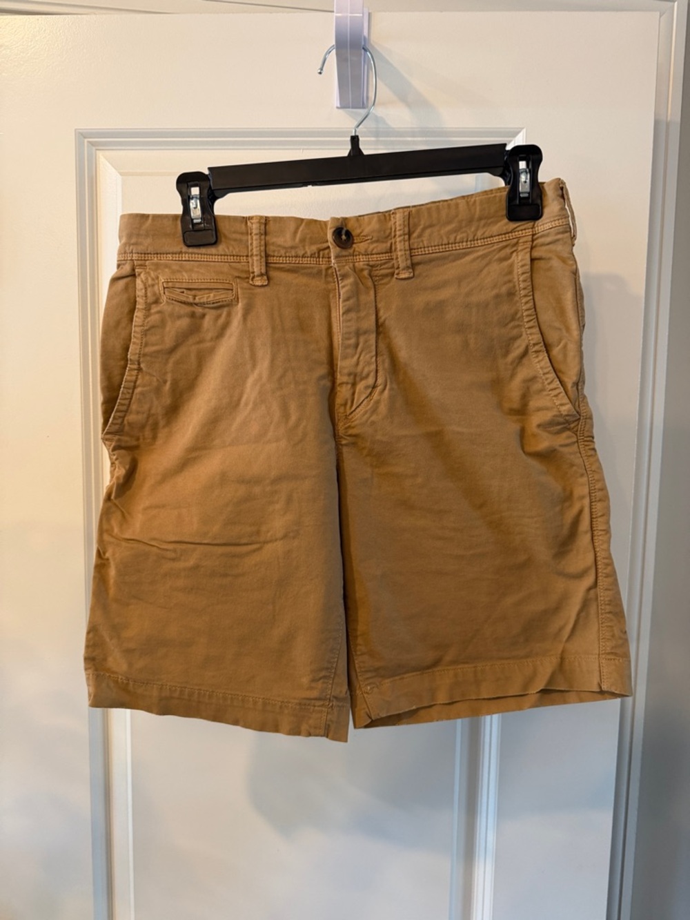 American Eagle Outfitters Men's Tan Flat-Front Shorts